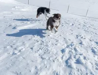 processed/4b1d5098-3198-4274-81c0-b251f4743965/facility/61d211f1-91de-4750-bda7-5dc75f5db912