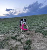 processed/4b1d5098-3198-4274-81c0-b251f4743965/facility/92f7a85a-1fe9-4554-8ce1-34d819a08aed