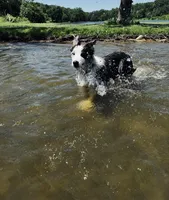 processed/4b1d5098-3198-4274-81c0-b251f4743965/facility/a149aecb-bfed-4ebc-8ec6-97bd73d680c2