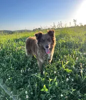 processed/4b1d5098-3198-4274-81c0-b251f4743965/facility/ae48705b-94fd-459f-8eb7-17e98ea2e57a