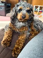 processed/4b1d5098-3198-4274-81c0-b251f4743965/facility/f53bc8eb-61c5-4874-98d7-91582fb28e3e