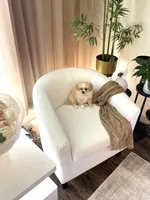 Charlie ♥️, a male Cavapom for sale in Lincoln, CA – 6 of 8