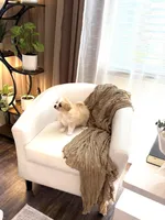 Lucky ♥️, a male Cavapom for sale in Lincoln, CA – 5 of 8