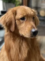 processed/4b26614a-3ed4-4748-be1e-27a71b27380d/facility/5341dde4-08b9-4f09-84c0-232132cf0167