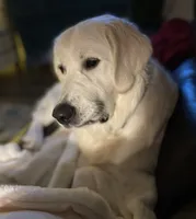 processed/4b26614a-3ed4-4748-be1e-27a71b27380d/facility/cc7dbb1a-7f53-4b56-96e7-bbf288d3cbc8