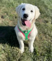 processed/4b26614a-3ed4-4748-be1e-27a71b27380d/facility/d30c8114-08b4-4d9e-8203-266bbfbce3af