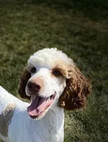 processed/4b26614a-3ed4-4748-be1e-27a71b27380d/facility/d650fe5c-0f10-4b16-b60a-627073bbbcc6