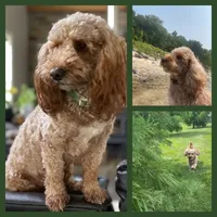 processed/4b26614a-3ed4-4748-be1e-27a71b27380d/listing/375fb602-b3bc-42c7-a158-957f69566950/07fe57d8-a4af-4213-a89c-5c4ebef2a04a