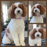 processed/4b26614a-3ed4-4748-be1e-27a71b27380d/listing/375fb602-b3bc-42c7-a158-957f69566950/c5ef9de9-ff23-4c2e-9fba-50570402134e