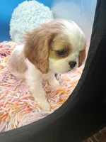 processed/4b34b4c4-5ea8-47cc-8bd0-51bb2c9a29c1/listing/6cbfdd4a-129d-4d5c-8a07-f60aae13b5d4/d317df94-52fb-46b8-90dd-dbe5457fda08