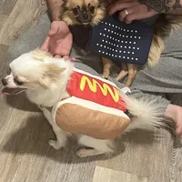 processed/4b35187d-f6ee-4cef-bb33-bb569c60bc08/facility/0019d72c-5571-4d92-b3cd-30ec1792e0a4