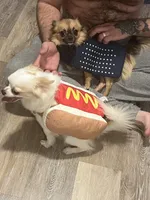 processed/4b35187d-f6ee-4cef-bb33-bb569c60bc08/facility/0019d72c-5571-4d92-b3cd-30ec1792e0a4