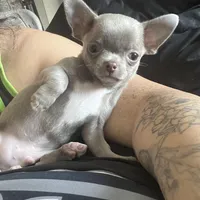 processed/4b35187d-f6ee-4cef-bb33-bb569c60bc08/facility/0f5ed494-eaa8-4e2c-aa71-4efebad4b970