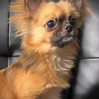 processed/4b35187d-f6ee-4cef-bb33-bb569c60bc08/facility/7151a78f-0980-4247-aa80-dec871860d55