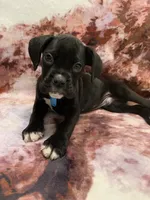 processed/4b3524ec-e84f-4be6-b8af-b70e15ace846/listing/25c69bc8-7a52-4db0-87f0-546a437b07e6/8154b20d-8c71-41ab-bc49-f44b084854b7