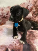 processed/4b3524ec-e84f-4be6-b8af-b70e15ace846/listing/25c69bc8-7a52-4db0-87f0-546a437b07e6/ccc3c1ba-4aa7-43b7-98e1-cdc2507935ea