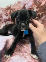 processed/4b3524ec-e84f-4be6-b8af-b70e15ace846/listing/25c69bc8-7a52-4db0-87f0-546a437b07e6/fdc2fc90-710e-44f1-ba7e-24bbf383cf7d