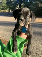 processed/4b3524ec-e84f-4be6-b8af-b70e15ace846/listing/648a49d3-5787-4900-9870-b69180fd8067/5f698050-4e10-4da0-9604-651e770b4b56