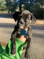 processed/4b3524ec-e84f-4be6-b8af-b70e15ace846/listing/648a49d3-5787-4900-9870-b69180fd8067/66b73467-0f04-4106-81c7-cd84092a2f34