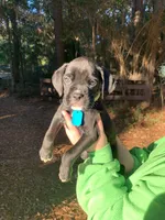 processed/4b3524ec-e84f-4be6-b8af-b70e15ace846/listing/648a49d3-5787-4900-9870-b69180fd8067/785e75ae-d448-4cbc-8895-573ffeaf8107