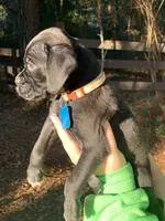 processed/4b3524ec-e84f-4be6-b8af-b70e15ace846/listing/648a49d3-5787-4900-9870-b69180fd8067/c95b6500-cc28-44af-820a-b91ec4355b86