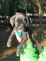 processed/4b3524ec-e84f-4be6-b8af-b70e15ace846/listing/648a49d3-5787-4900-9870-b69180fd8067/e55bf67c-a917-4470-960a-b563e8293415