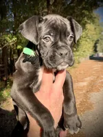 processed/4b3524ec-e84f-4be6-b8af-b70e15ace846/listing/ab1d8a7f-faac-456c-9c4c-18e8cc37bca4/a3de7b7e-ca7c-455d-9874-21fb8eda9bfd