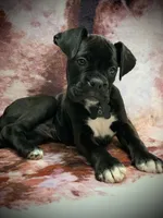 processed/4b3524ec-e84f-4be6-b8af-b70e15ace846/listing/ab1d8a7f-faac-456c-9c4c-18e8cc37bca4/b5d79442-951c-432b-a6dc-04056ccb7e7d