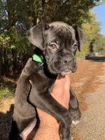 processed/4b3524ec-e84f-4be6-b8af-b70e15ace846/listing/ab1d8a7f-faac-456c-9c4c-18e8cc37bca4/b8b5e9a8-98b0-4a66-954d-813b50a4db88