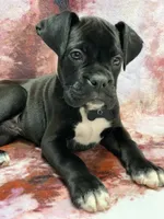 processed/4b3524ec-e84f-4be6-b8af-b70e15ace846/listing/ab1d8a7f-faac-456c-9c4c-18e8cc37bca4/dab9f5c0-2323-4f75-b542-8b486d5829ae