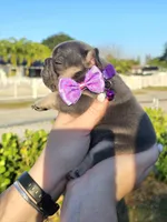 processed/4b3e081f-83f8-421d-9fca-180c35018574/listing/a70fe580-f391-4f60-ac59-6be3f6e09ba7/1b1822b1-1b50-4a6e-a1b1-05ca12057be3