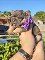 processed/4b3e081f-83f8-421d-9fca-180c35018574/listing/a70fe580-f391-4f60-ac59-6be3f6e09ba7/991f9838-76f7-4791-a357-9d88fdac01a9