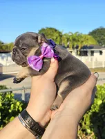 processed/4b3e081f-83f8-421d-9fca-180c35018574/listing/a70fe580-f391-4f60-ac59-6be3f6e09ba7/ad157a20-60e1-4c06-9274-af4f400e620d