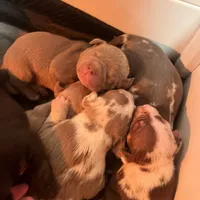 processed/4b413517-3242-4276-b4bc-a86dc4e3f2ae/facility/0cdc5605-53c2-4e02-abe7-96c334ed498f