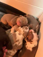 processed/4b413517-3242-4276-b4bc-a86dc4e3f2ae/facility/0cdc5605-53c2-4e02-abe7-96c334ed498f