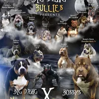 processed/4b413517-3242-4276-b4bc-a86dc4e3f2ae/facility/19fbebea-0037-41b7-9f7b-cf53844ef4ae