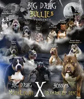 processed/4b413517-3242-4276-b4bc-a86dc4e3f2ae/facility/19fbebea-0037-41b7-9f7b-cf53844ef4ae