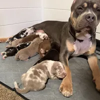 processed/4b413517-3242-4276-b4bc-a86dc4e3f2ae/facility/245a9c43-bdf9-4ab5-a071-7dc88b35f00f