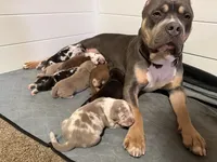 processed/4b413517-3242-4276-b4bc-a86dc4e3f2ae/facility/245a9c43-bdf9-4ab5-a071-7dc88b35f00f