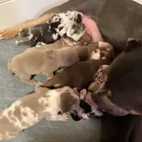 processed/4b413517-3242-4276-b4bc-a86dc4e3f2ae/facility/37ae6685-4a05-43f4-b56b-aca4fc929a43