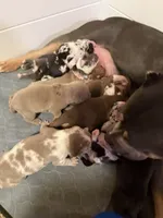 processed/4b413517-3242-4276-b4bc-a86dc4e3f2ae/facility/37ae6685-4a05-43f4-b56b-aca4fc929a43