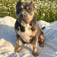 processed/4b413517-3242-4276-b4bc-a86dc4e3f2ae/facility/45af8e98-b62b-4e0f-83c4-7d585c0cf301