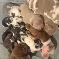 processed/4b413517-3242-4276-b4bc-a86dc4e3f2ae/facility/618fda4d-8517-4a0b-8c6a-f2dbcacea489