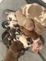 processed/4b413517-3242-4276-b4bc-a86dc4e3f2ae/facility/618fda4d-8517-4a0b-8c6a-f2dbcacea489