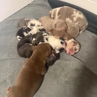 processed/4b413517-3242-4276-b4bc-a86dc4e3f2ae/facility/72d4df4b-ac96-443b-adf1-64ddaa05e0fc