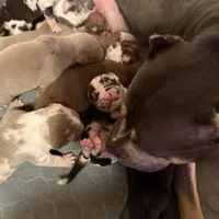 processed/4b413517-3242-4276-b4bc-a86dc4e3f2ae/facility/bcb9ed35-cc2c-4aac-8bf1-4c3c28dec479