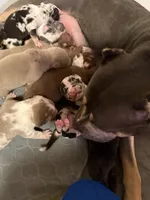 processed/4b413517-3242-4276-b4bc-a86dc4e3f2ae/facility/bcb9ed35-cc2c-4aac-8bf1-4c3c28dec479