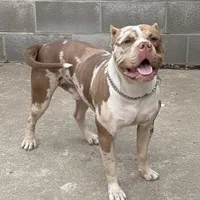 processed/4b413517-3242-4276-b4bc-a86dc4e3f2ae/facility/c124c548-8e94-4594-a9c9-b73b9b5fedfd