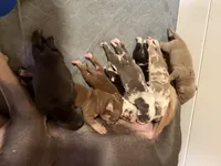 processed/4b413517-3242-4276-b4bc-a86dc4e3f2ae/facility/e11614ec-0242-4bff-89ee-8466fbcaf346