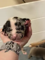 processed/4b413517-3242-4276-b4bc-a86dc4e3f2ae/listing/6695bdab-2d53-495a-a785-be7432fae2f7/3292ec6d-ad25-4c8d-a7e4-41349e6ce6a4